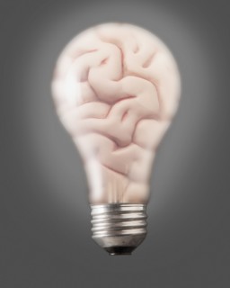 Composition of bulb and one human brain. Photo : Mike Kemp