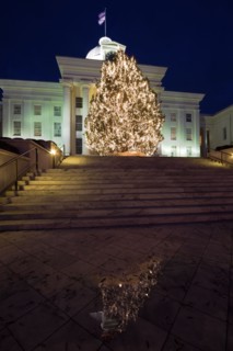 USA, Alabama, Montgomery, Christmas tree outside State Capitol building. Photo : Henryk Sadura