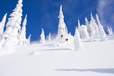 USA, Montana, Whitefish, skier on slope. Photo : Noah Clayton