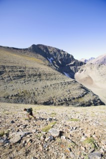 USA, Montana, Glacier National Park, Mid adult man hiking . Photo : Noah Clayton