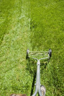 USA, California, Point Reyes, Old fashioned mower on lawn. Photo : Noah Clayton