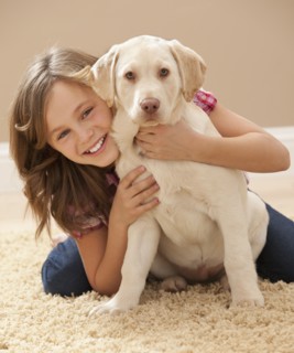 Portrait of girl (10-11) embracing Labrador on carpet. Photo : Mike Kemp