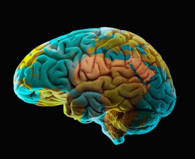 Composition of human brain model and world map. Photo : Mike Kemp