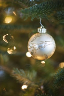 Christmas decoration hanging on Christmas tree, studio shot.