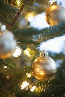Christmas decoration hanging on Christmas tree, studio shot.