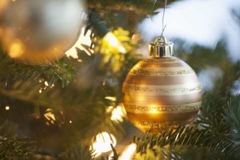 Christmas decoration hanging on Christmas tree, studio shot.