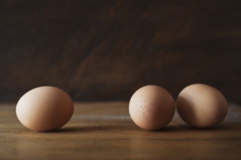 Studio shot of egg.