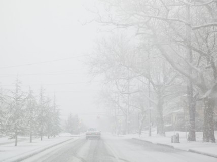 USA, New York State, Rockaway Beach, car on road during blizzard. Photo : Jamie Grill Photography