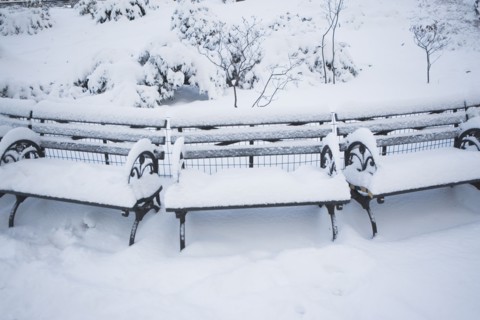 USA, New York City, Manhattan, Benches in Central Park covered with snow. Photo : fotog