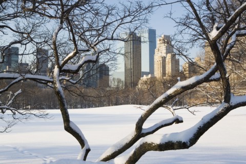 USA, New York City, View of Central Park in winter with Manhattan skyline in background. Photo :