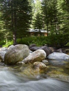 USA, Colorado, River flowing through forest. Photo : John Kelly