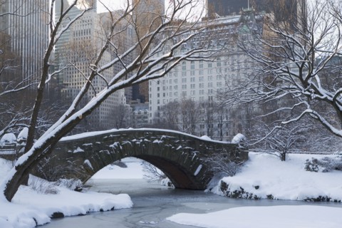USA, New York City, View of Central Park in winter with Manhattan skyline in background. Photo :