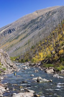 USA, Montana, Woman fly fishing in North Fork of Blackfoot River. Photo : Noah Clayton