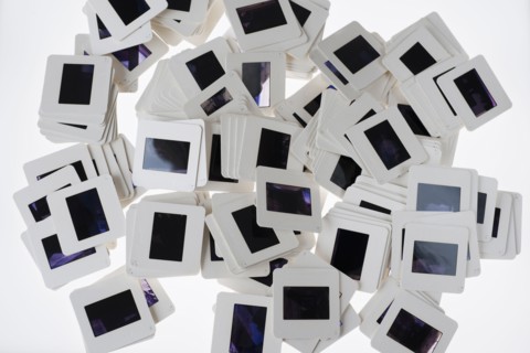 Close up of slides on light box.