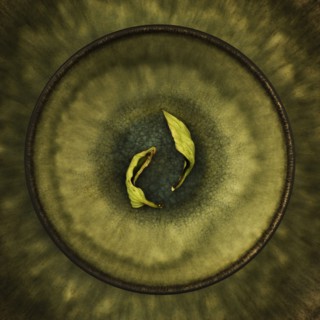 Dry leaves in bowl. Photo : Joe Clark