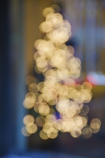 Illuminated Christmas tree lights.