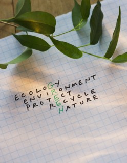 Crossword puzzle reading GREEN. Photo : Daniel Grill