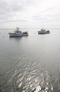 USA, Massachusetts, moored fishing boats. Photo : Chris Hackett