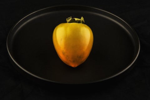 Persimmon on black background. Photo : Joe Clark