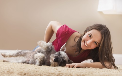 Young woman playing with schnauzer. Photo : Mike Kemp