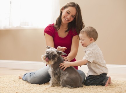 Young woman with brother (2-3) playing with schnauzer. Photo : Mike Kemp