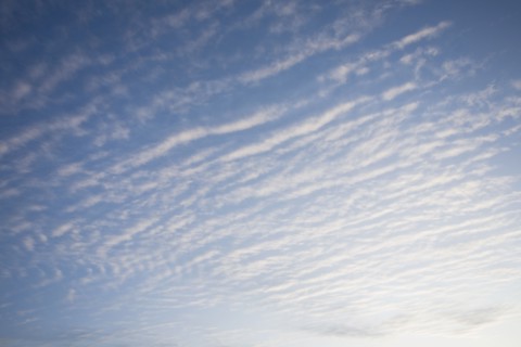 USA, Massachusetts, alto cumulus clouds. Photo : Chris Hackett