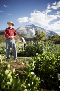USA, Colorado, Aspen, farmers working in field. Photo : Shawn O'Connor