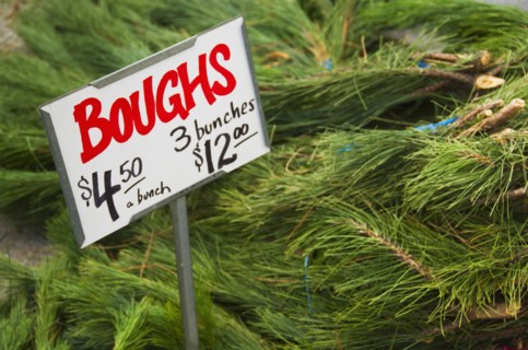 Christmas tree branches for sale.