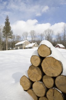 USA, New Jersey, Stack of timber in winter scenery. Photo : Chris Hackett