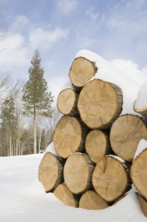USA, New Jersey, Stack of timber in winter scenery. Photo : Chris Hackett