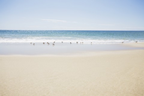 USA, Massachusetts, Empty beach. Photo : Chris Hackett