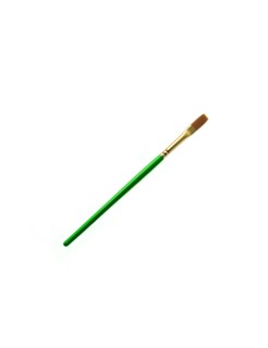 Green paintbrush on white background. Photo : David Arky