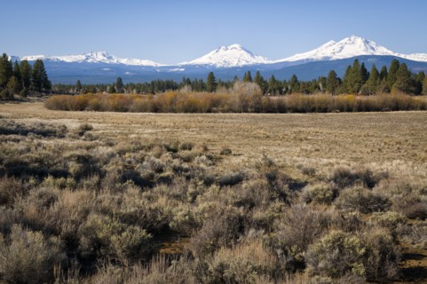 Field with snow covered Cascade mountains in background. Photo: Gary Weathers
