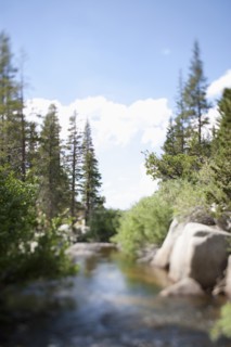 USA, California, Sonora Pass, Landscape with stream. Photo : Noah Clayton