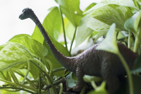 Figurine of dinosaur among leaves. Photo : Antonio M. Rosario