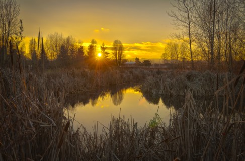 USA, Oregon, Sunset over Marsh. Photo: Gary Weathers