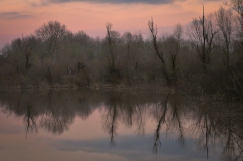 USA, Oregon, Bare trees reflecting in lake at sunrise. Photo : Gary Weathers
