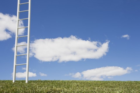USA, New Jersey, White ladder in field. Photo: Chris Hackett