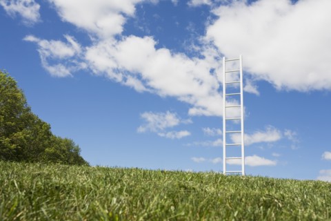USA, New Jersey, White ladder in field. Photo: Chris Hackett