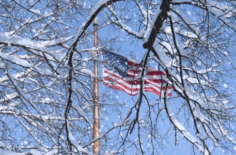 USA, New York, New York City, american flag behind branches covered with snow.