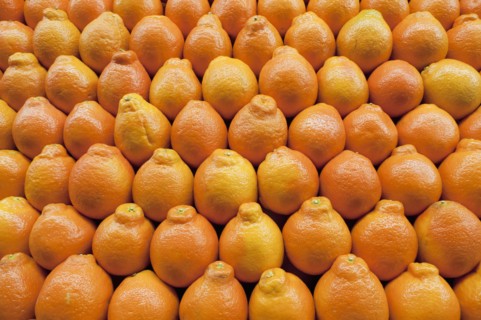 Stack of tangelo on market. Photo : Antonio M. Rosario