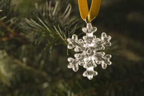 Close-up view of silver star hanging on Christmas tree. Photo: Kristin Lee