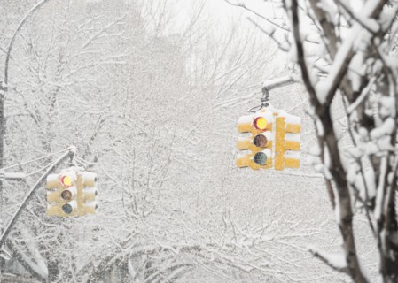USA, New York State, Brooklyn, Williamsburg, street lights and snow covered trees. Photo : Jamie