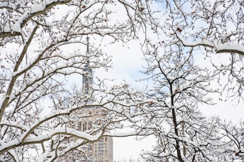 USA, New York, New York City, Empire State Building behind winter trees.