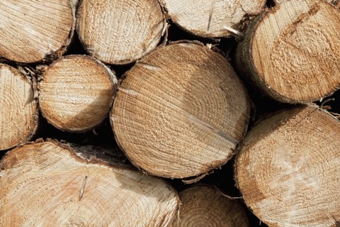 Close up-view of firewood stack. Photo : Jon Boyes