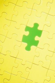 Yellow and green puzzle. Photo : Antonio M. Rosario