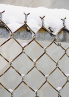 USA, New York State, Brooklyn, Williamsburg, snow covered chainlink fence. Photo : Jamie Grill