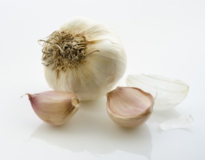 Studio shot of garlic.