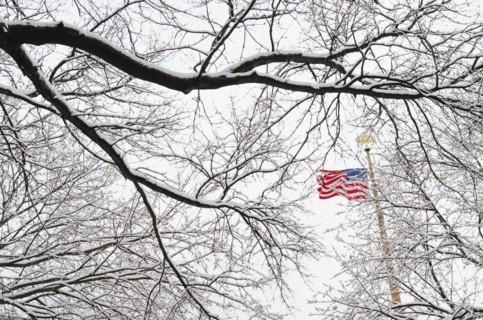 New York City, New York, American Flag and branch of bare tree.