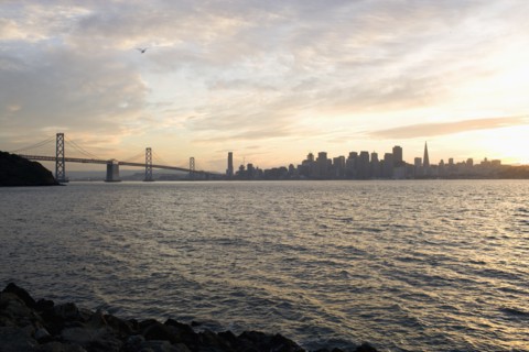USA, San Francisco, City skyline with Golden Gate Bridge. Photo: Noah Clayton